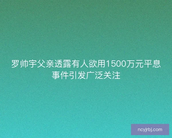 罗帅宇父亲透露有人欲用1500万元平息事件引发广泛关注